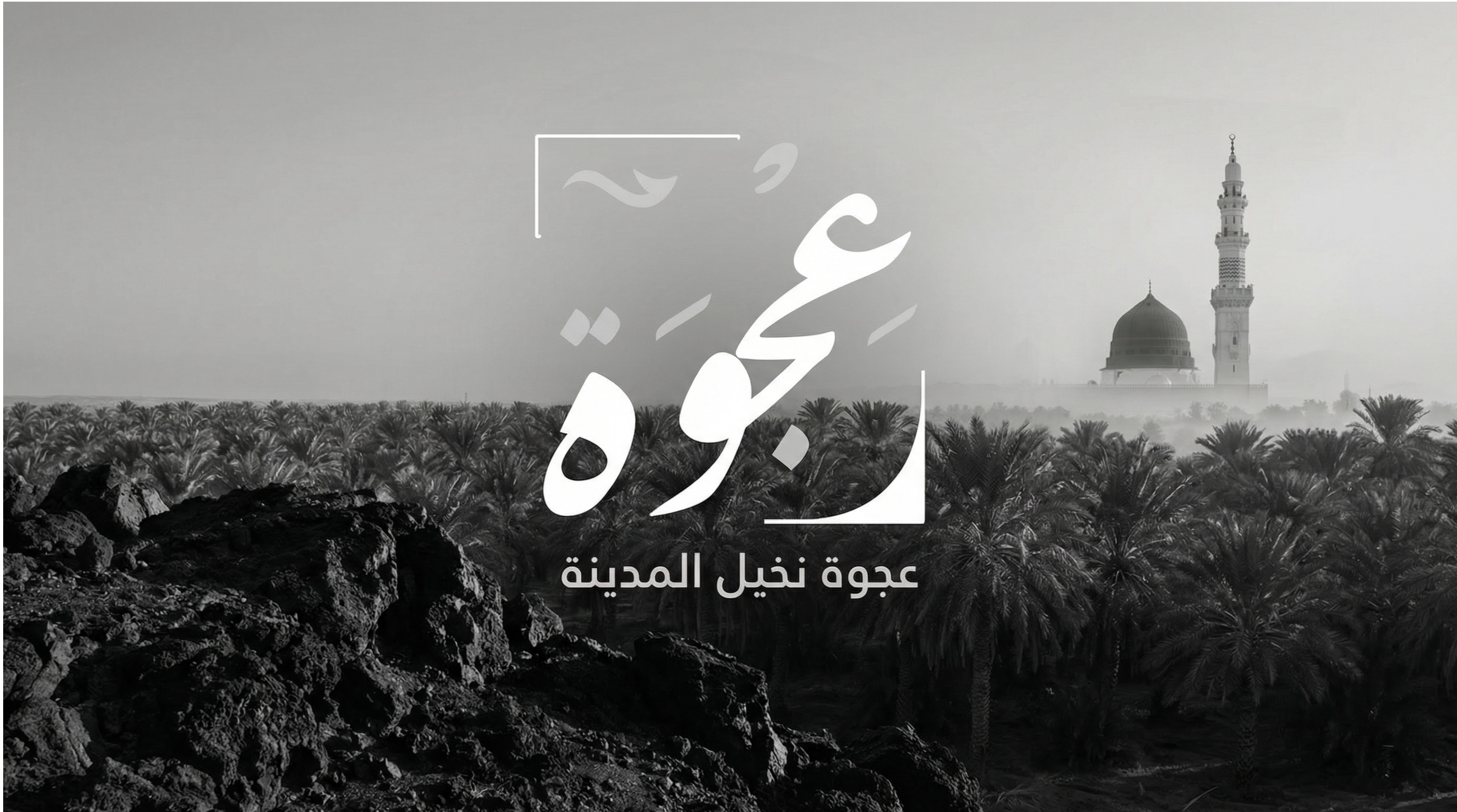 Ajwa Nakhal Al Madinah product photography